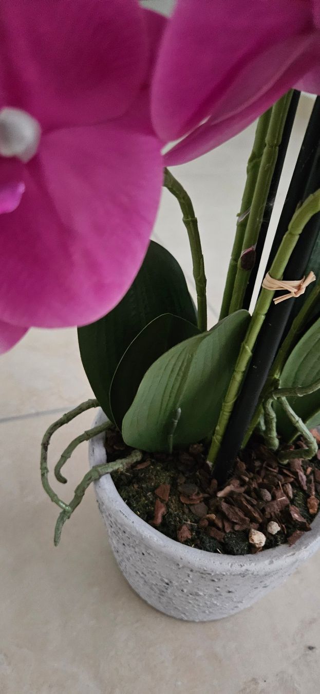 Piante & sementi: 2 Stck künstliche Orchideen – Nuovo (secondo la descrizione) da Birrwil venduto da Mischabel1 6