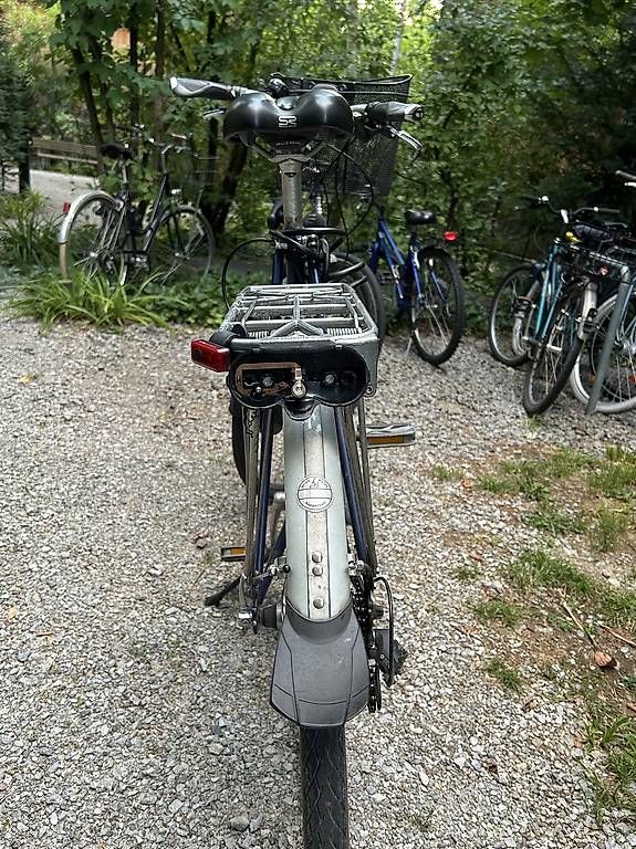 Velos: Damenvelo Mondia – Gebraucht aus Zürich von FHam 1