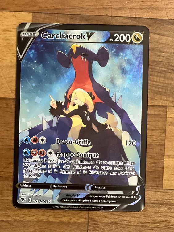 Pokémon Carchacrok Shiny 6 IV EV Rigide Niveau 100 - Pour Pokémon Z-A Switch