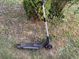 Elektotrotti MoBi Move