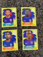 Panini Stickers
