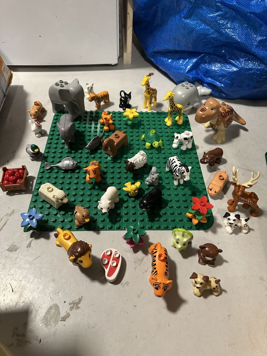 Giocattoli: duplo tiere mit grosser platte – Usato da Landquart venduto da lumima