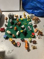 duplo tiere mit grosser platte