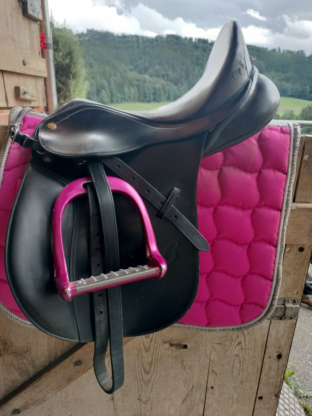 Selle & Accessori: Kindersattel Bates – Usato da Pfungen venduto da Savaklunki
