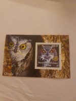 Congo - Carte avec timbre de hibou - parfait état!