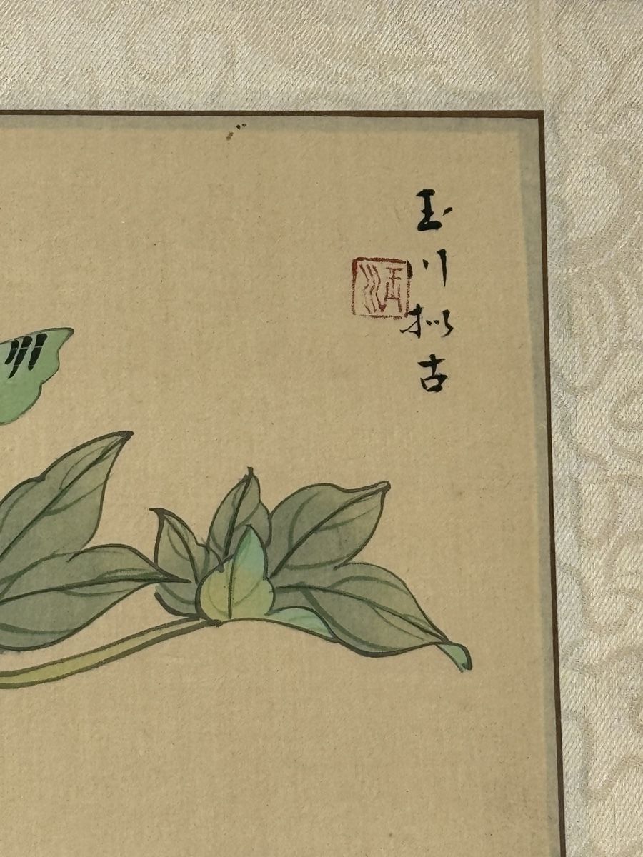 Dipinti: Chinesisches Aquarell Schmetterlinge – Usato da Grenchen venduto da swiss.antiques 3