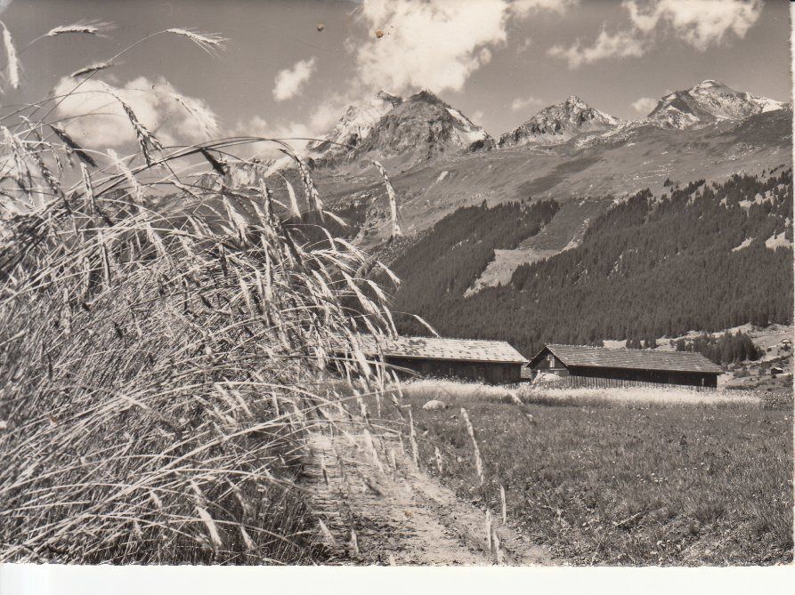 Cartoline postali: Brigels 1953 – Usato da Bürglen TG venduto da StampGraf
