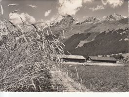 Brigels 1953