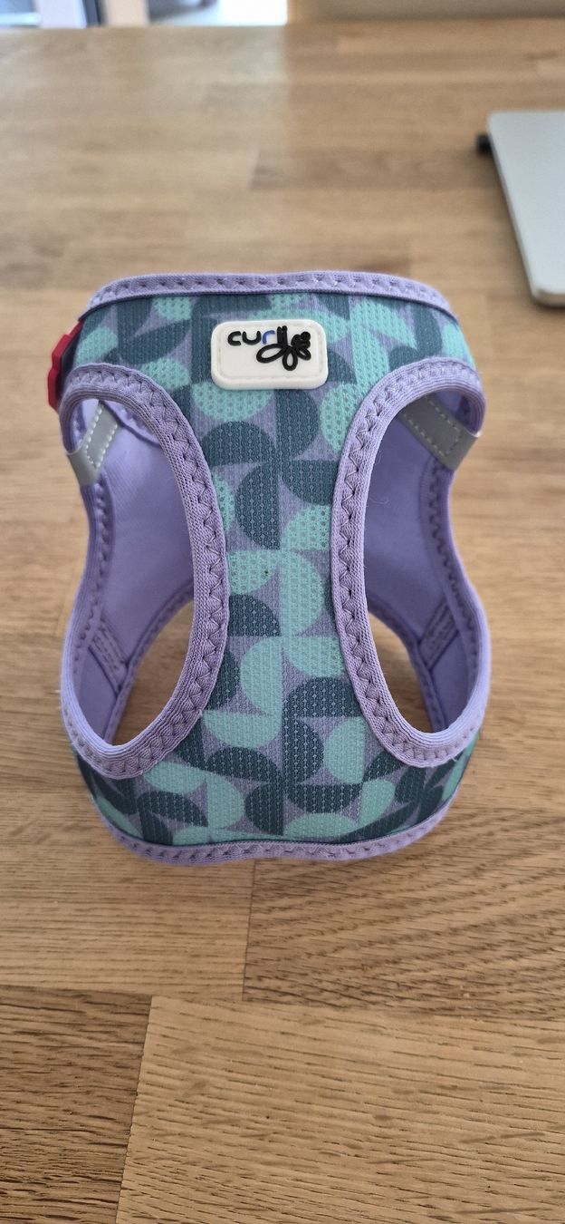 Leine & Halsband: Curli Geschirr Gr. XS – Neu (gemäss Beschreibung) aus oberuzwil von Dogstyle