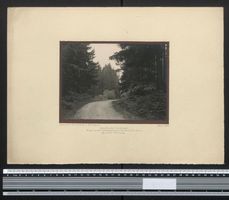 Fotografie Eschelhof über Sulzbach / Mu