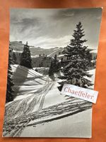1961 Stelital mit Ziger 2074 m.