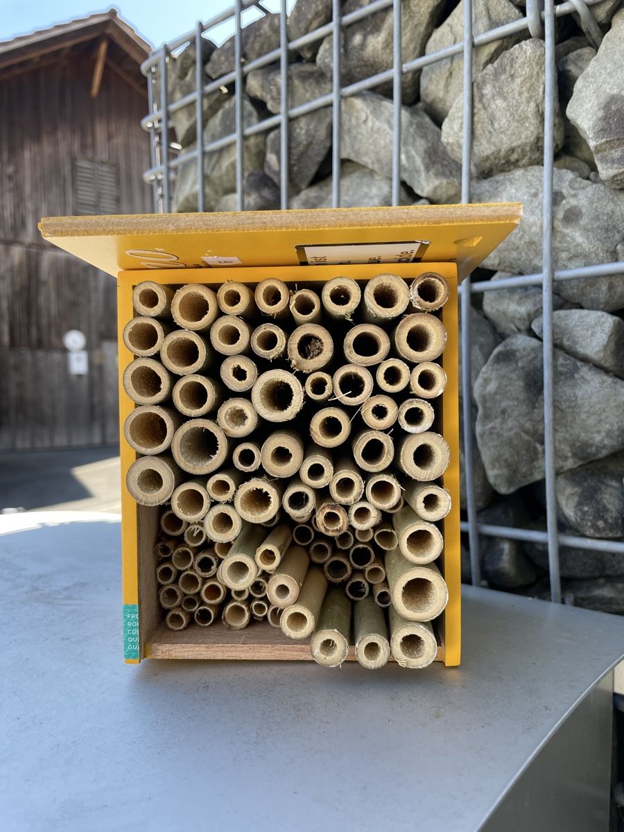 Alveari: Wildbienenhotel, ab sofort bezugsbereit – Nuovo (secondo la descrizione) da Knonau venduto da Kaktus122 1