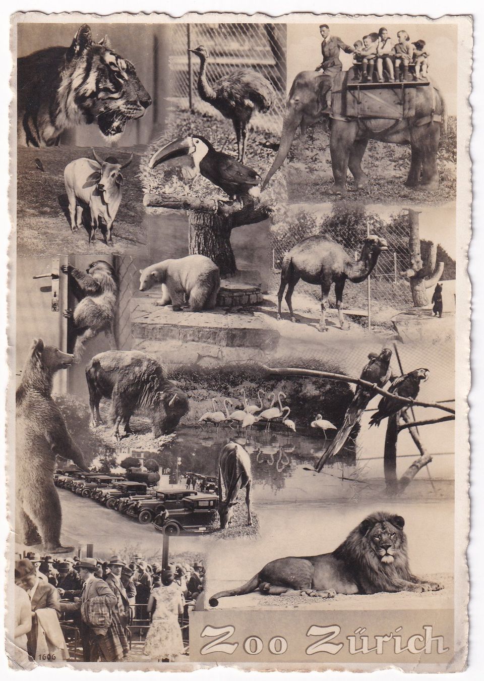Cartoline postali: Zoo Zürich  1930 – Usato da Cormoret venduto da Pascalll2001