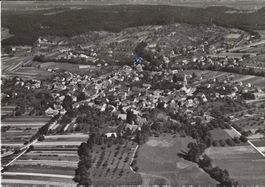 Karte Therwil 1965
