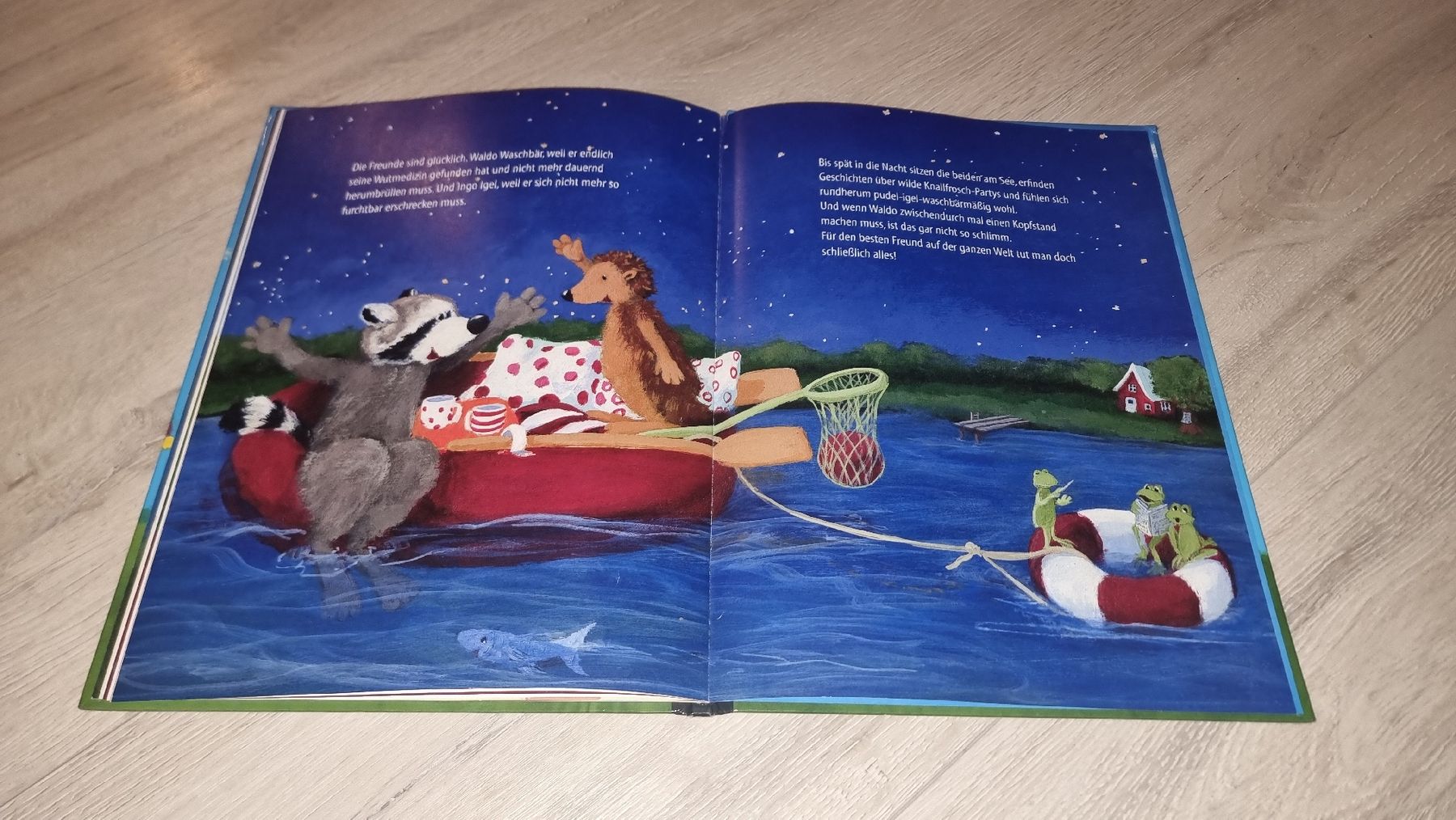 Bücher: Waldo Waschbär wütend wird neuwertig  – Neu (gemäss Beschreibung) aus Wigoltingen von Zuckerfee84 2