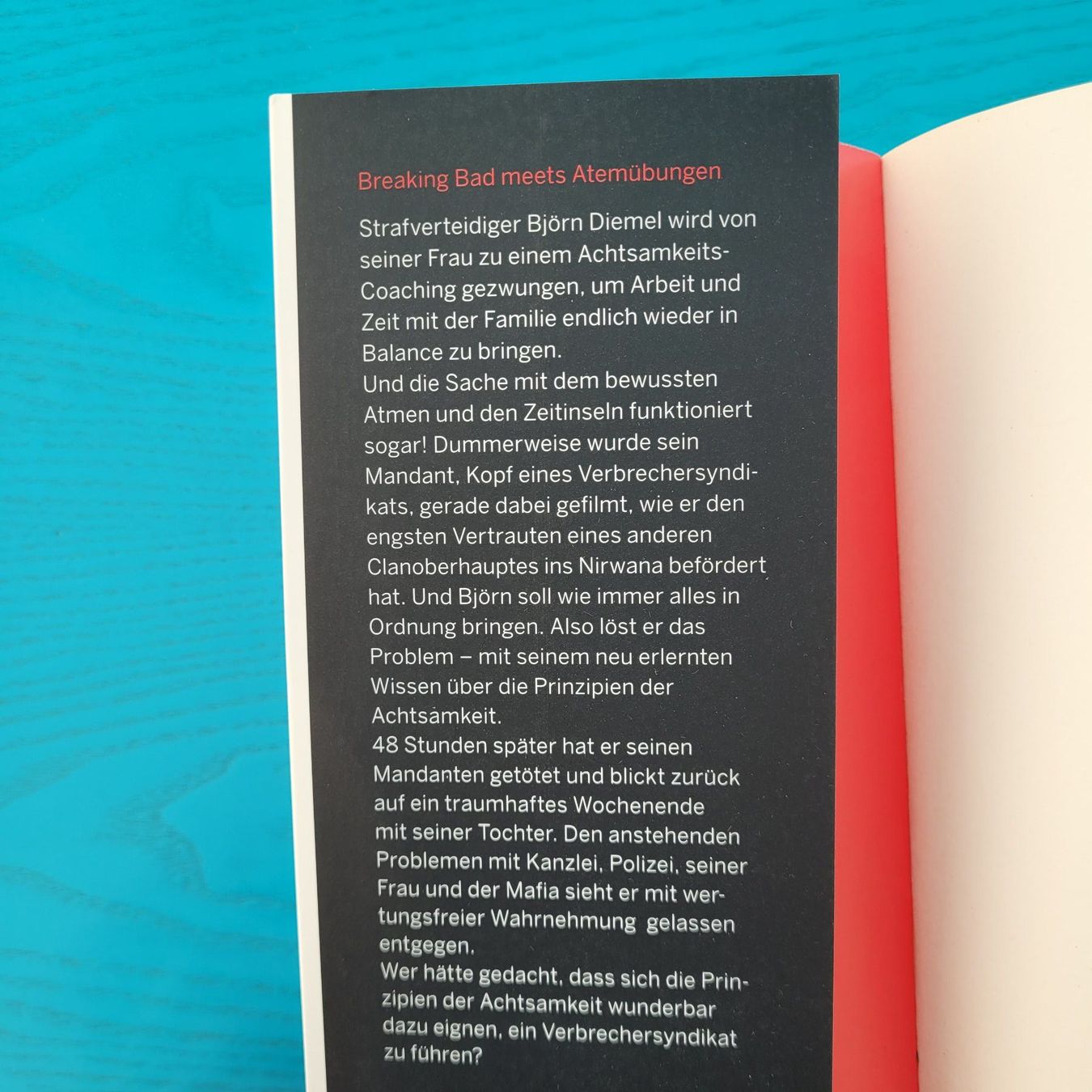 Libri: Karsten Dusse- Achtsam Morden  / Krimi – Usato da SCHÜBELBACH venduto da CoKaHa 2