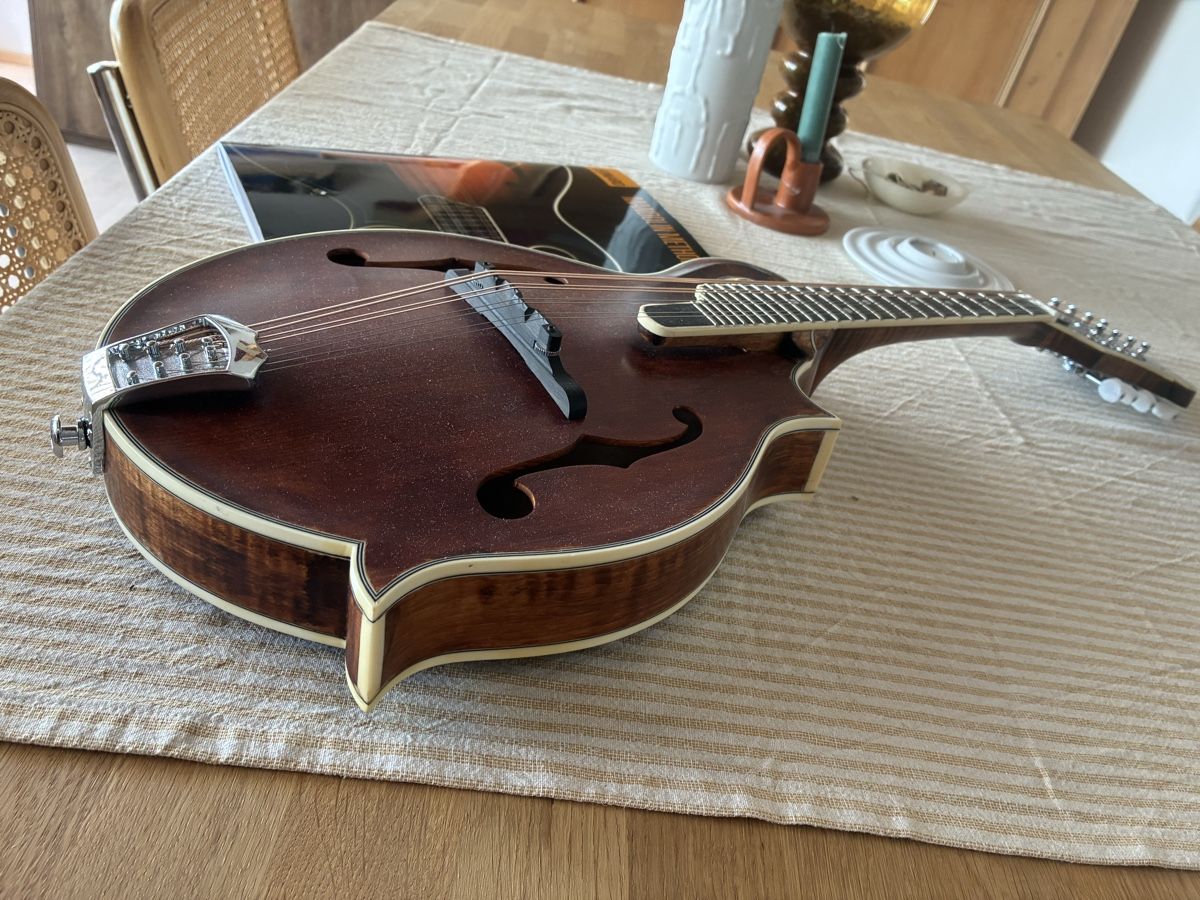 Strumenti musicali: F-Style Mandoline, Richwood, Vollmassiv – Usato da Winterthur venduto da Gerrardo 2