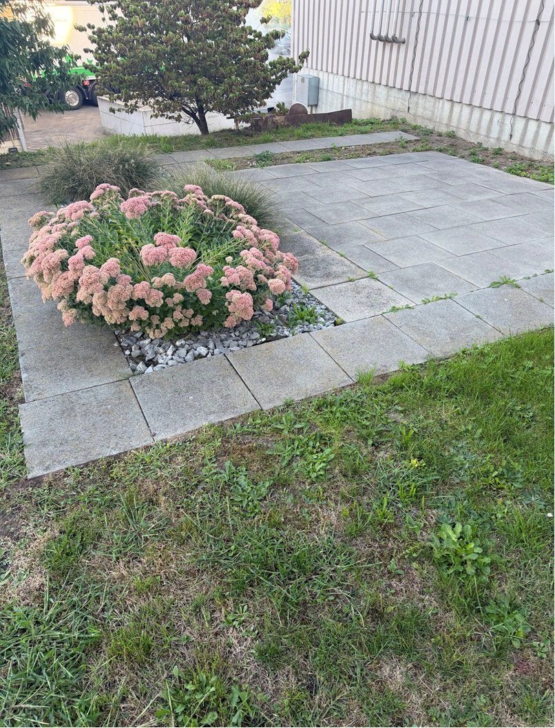 Bodenbeläge: Gartenplatten GRATIS – Gebraucht aus Alberswil von weibel02 2