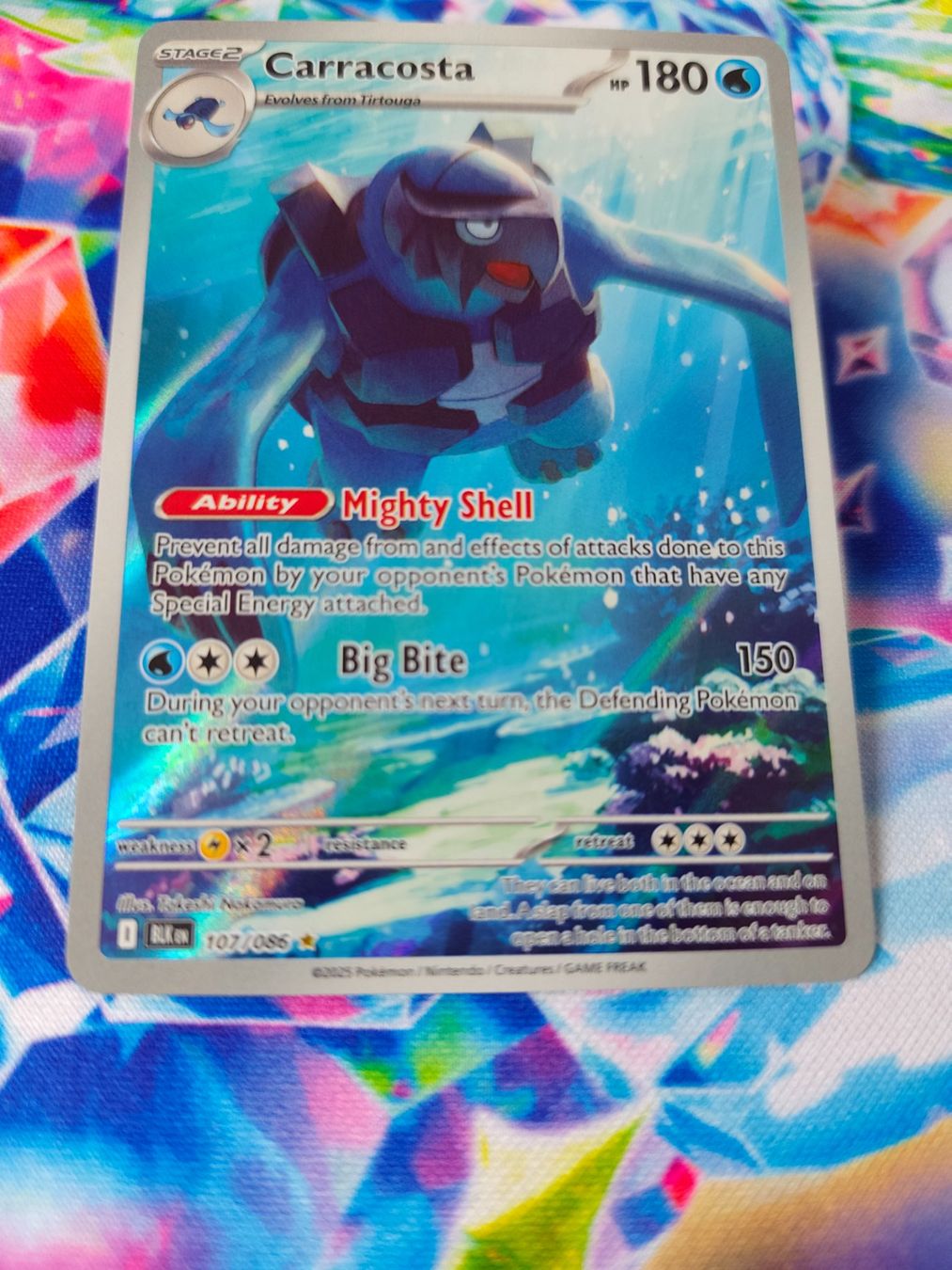Pokémon Carte collezionabili: Carracosta – Nuovo (secondo la descrizione) da Bubikon venduto da el-ectronico 2