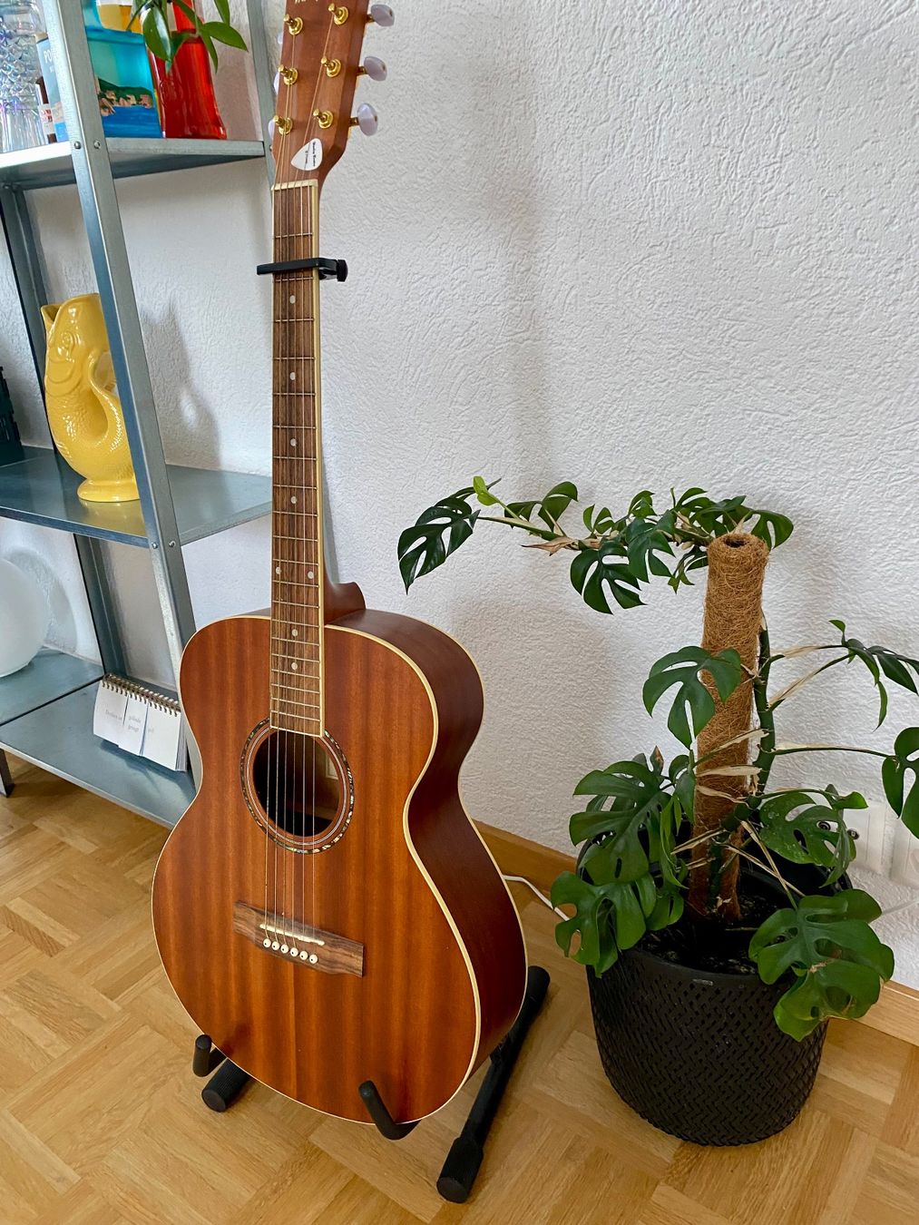 Harley Benton Strumenti musicali: Gitarre Hatley Benton – Usato da Steffisburg venduto da Tatjana_Beck 5