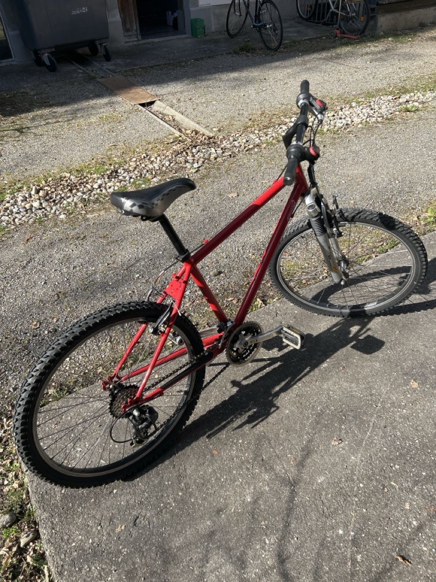 Aarios Biciclette: Kindervelo Aarios – Usato da Zürich venduto da pak73 1