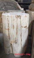 Fossil Tisch Beistelltisch Hocker Säule Versteinertes Holz