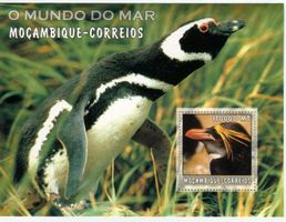 Block "Pinguine". Mosambik.