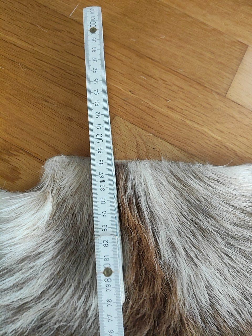 Welt der Tiere: Echtes Tierfell (2 Stk.) – Gebraucht aus Zug von fio_gm7f 1