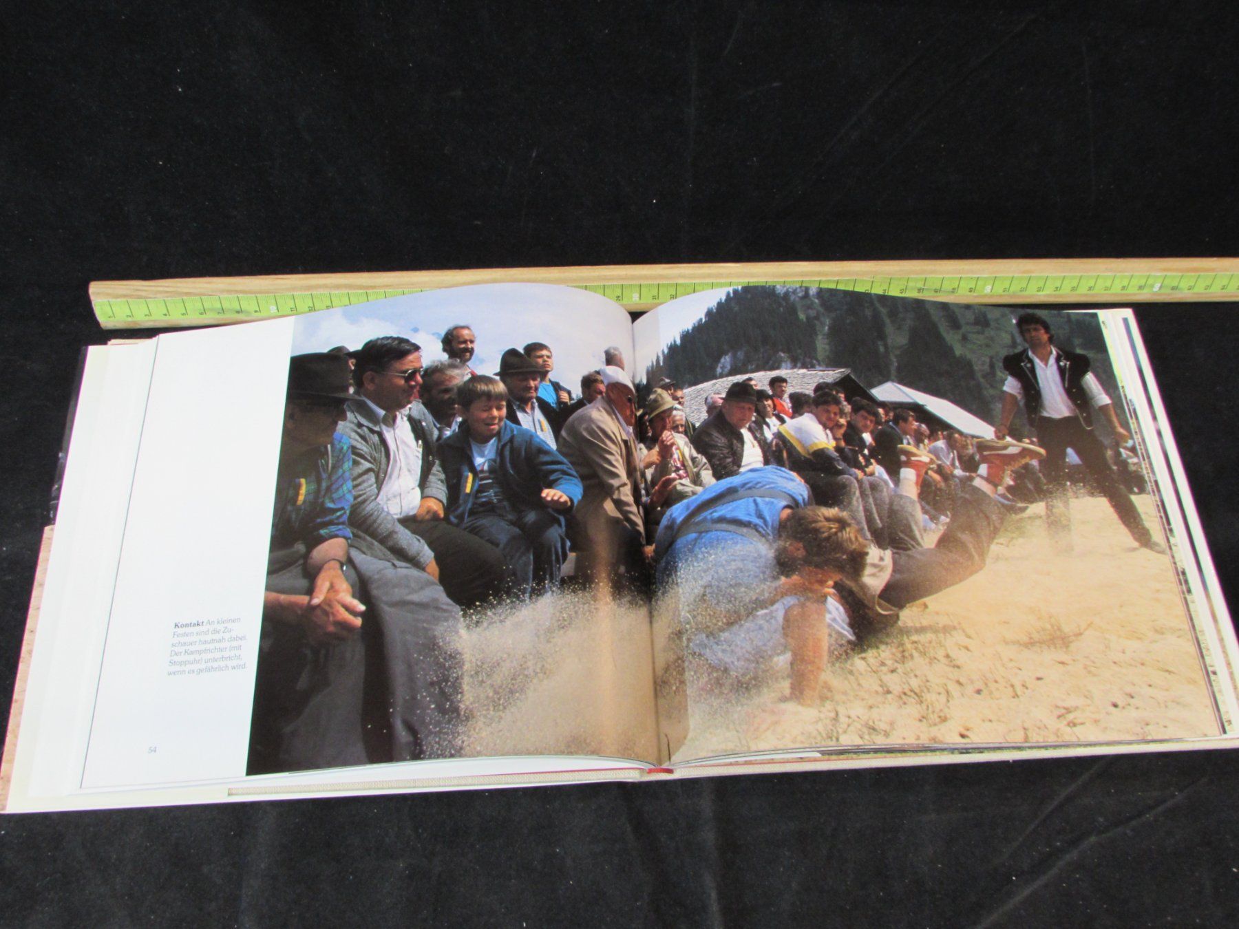 Grafica & Litografie: Schwingen, 19.Jh. – Usato da Walchwil venduto da Shells1 5