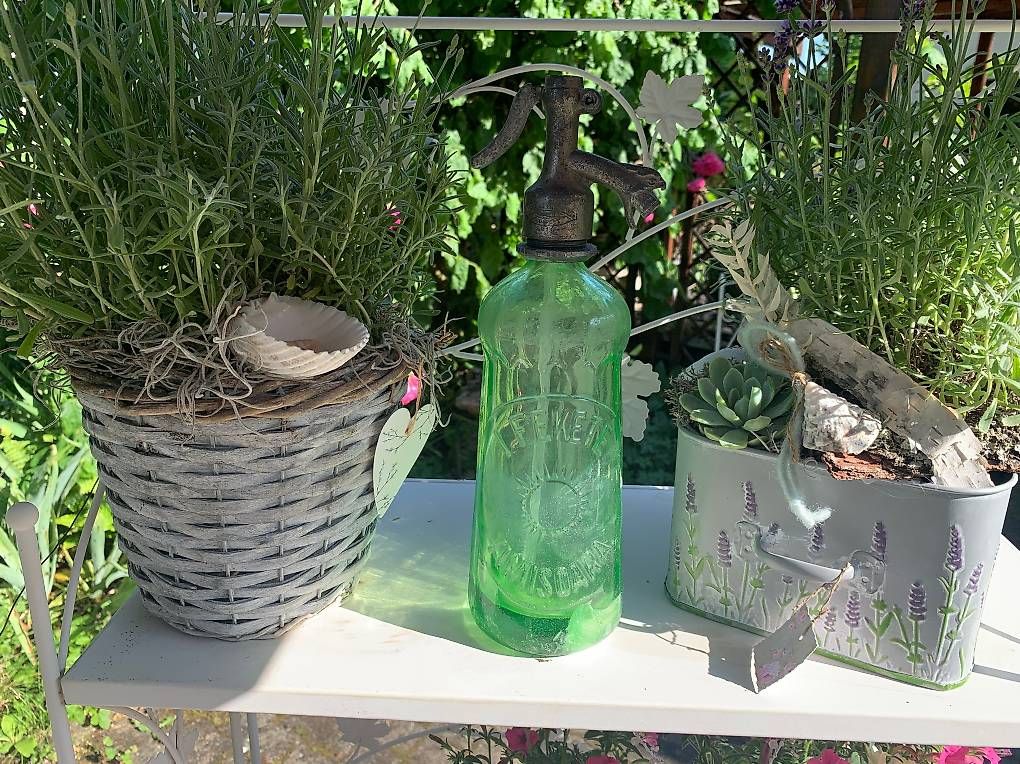 Bottiglie: Sodaflasche / Siphonflasche / Syphonflasche – Usato da Münchenstein venduto da Beni1994 1