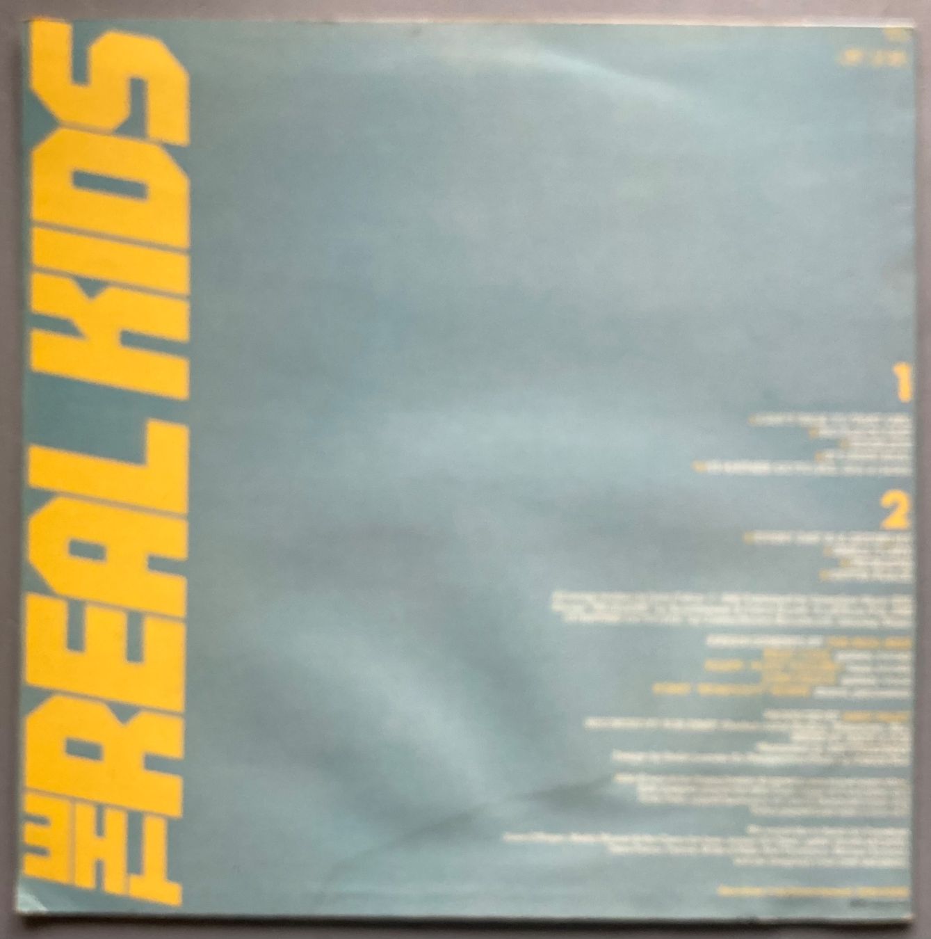 Schallplatten: THE REAL KIDS - OUTTA PLACE – Gebraucht aus Poliez-Pittet von Newtown-Records 1