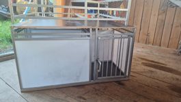 Hunde Box für 6 Lagotto