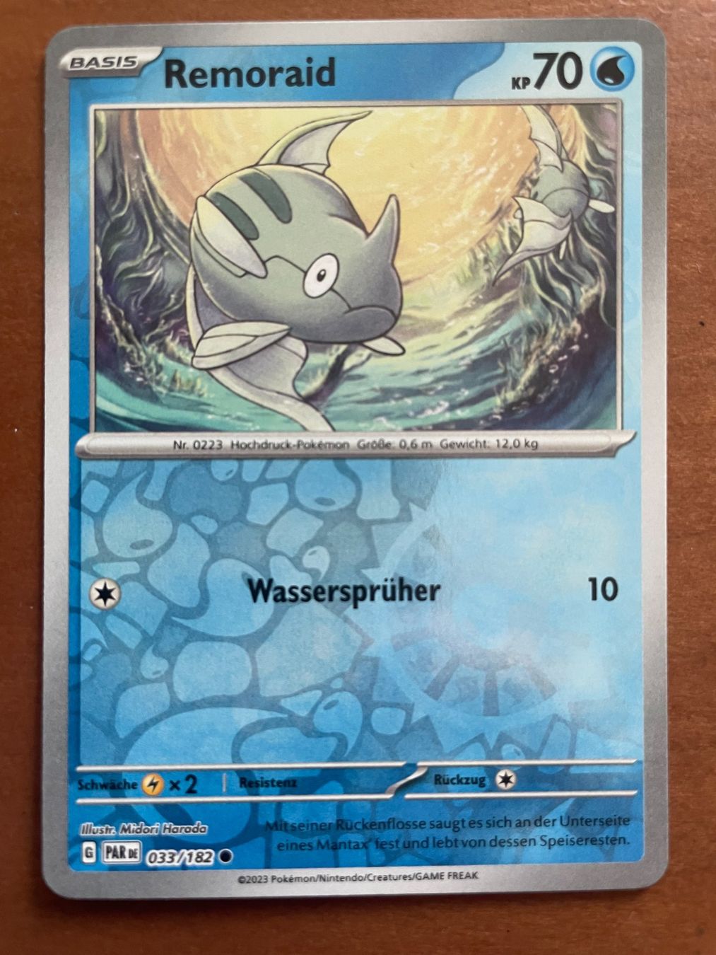 Pokémon Carte collezionabili: Pokemon Remoraid Reverse (Versand gratis) – Nuovo (secondo la descrizione) da Chur venduto da Angerson