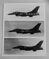 Foto 1981 F-16 Fighting Falcon Viper