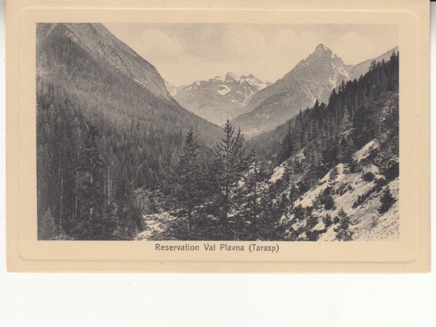 Cartoline postali: Val Plavna ca. 1910 – Usato da Bürglen TG venduto da StampGraf
