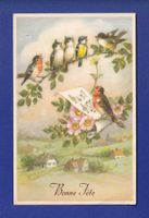 OISEAU - Bonne Fête