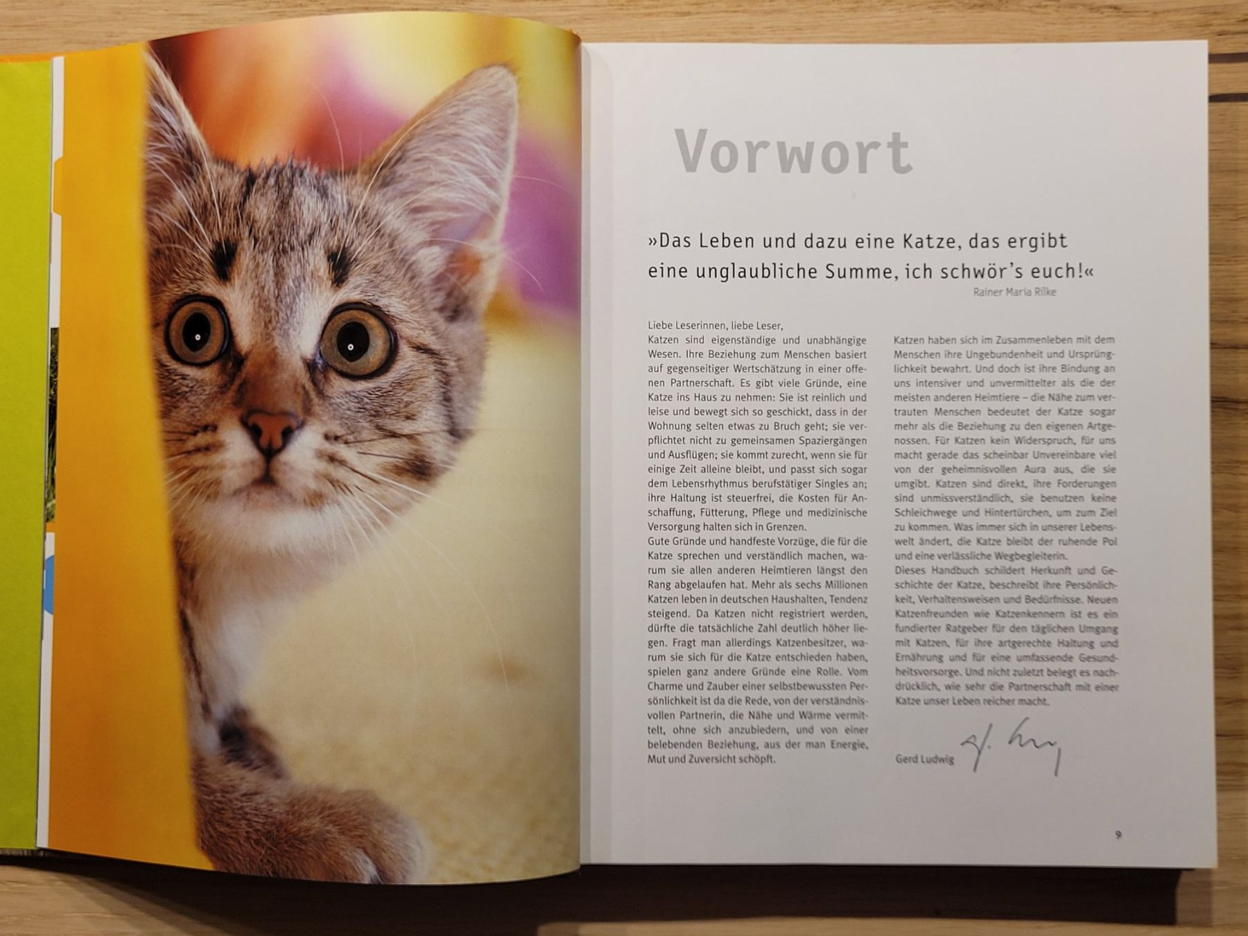 Libri: GU PRAXIS-HANDBUCH KATZEN – Usato da Oetwil am See venduto da swisspeak 4