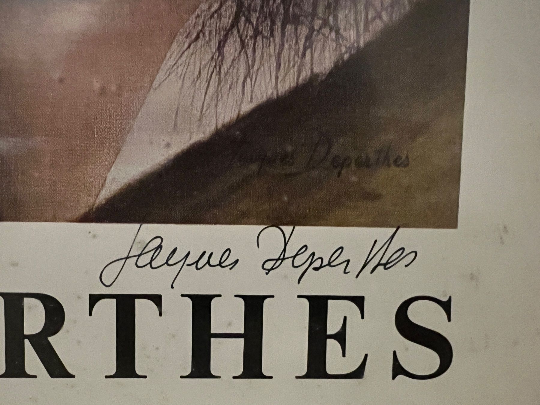 Foto & Immagini: Affiche signée de Jacques Deperthes (1980) – Usato da Vésenaz venduto da Bartos 2