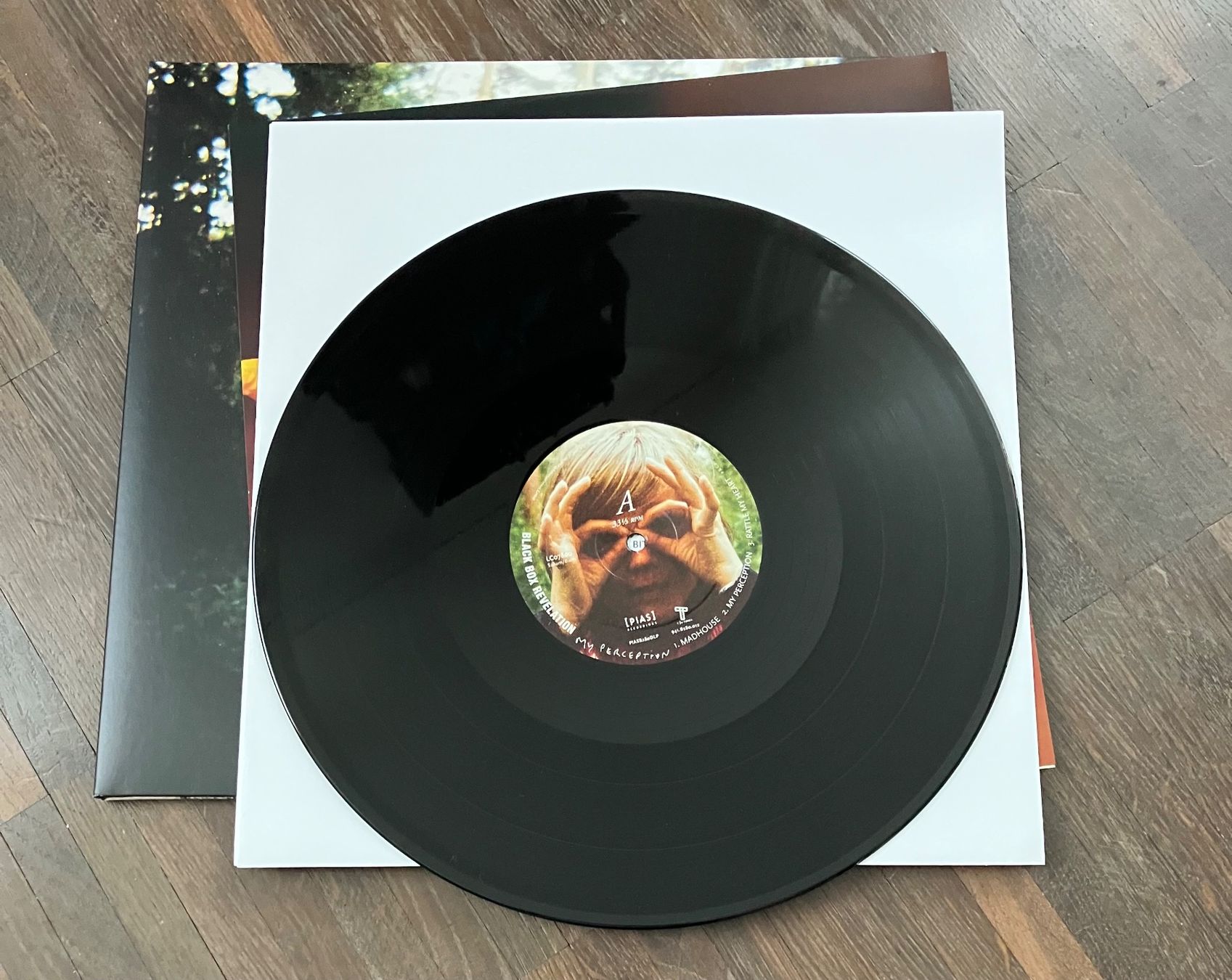 Dischi in vinile: THE BLACK BOX REVELATION - MY PERCEPTION – Usato da steffisburg venduto da Dstauffer 2