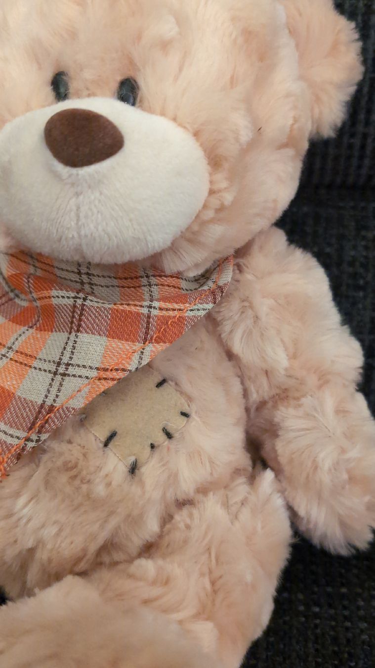 Giocattoli: Teddybär von Kuschelwuschel 19 cm – Nuovo (secondo la descrizione) da Rüfenach AG venduto da sen_vbz6 5