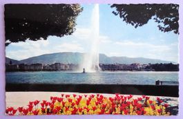Genève - Le Jet d' Eau (130 m)