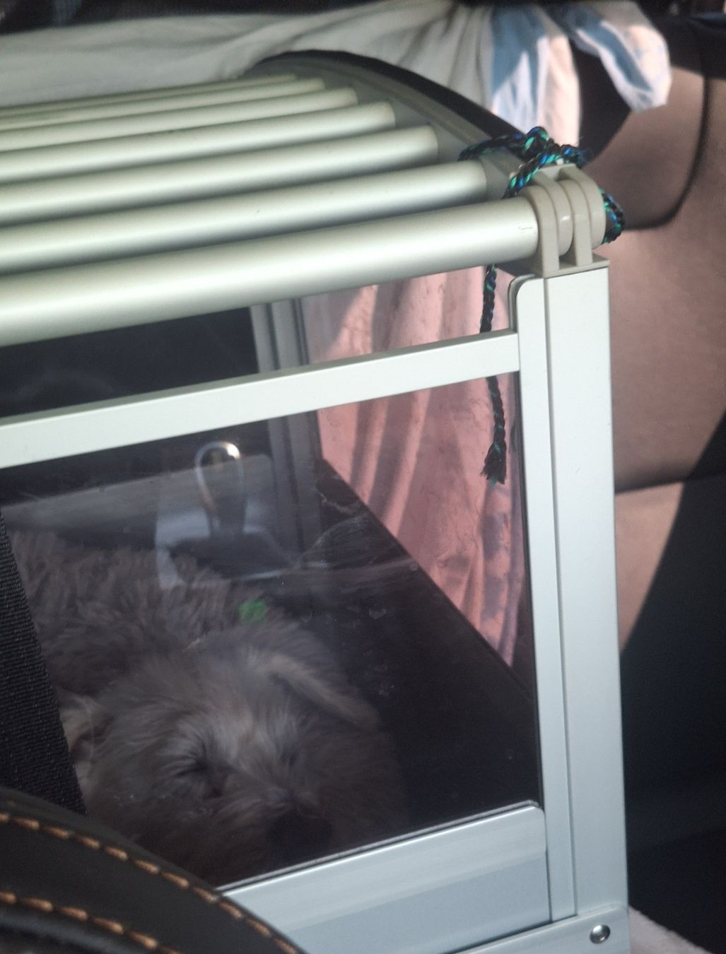 Meiko Cages, transport & sécurité: Schmidt Rücksitz Hundebox Grösse 2 – D'occasion à Binz par pia_ph77 1