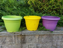3er Set Blumentöpfe, verschiedene Farben