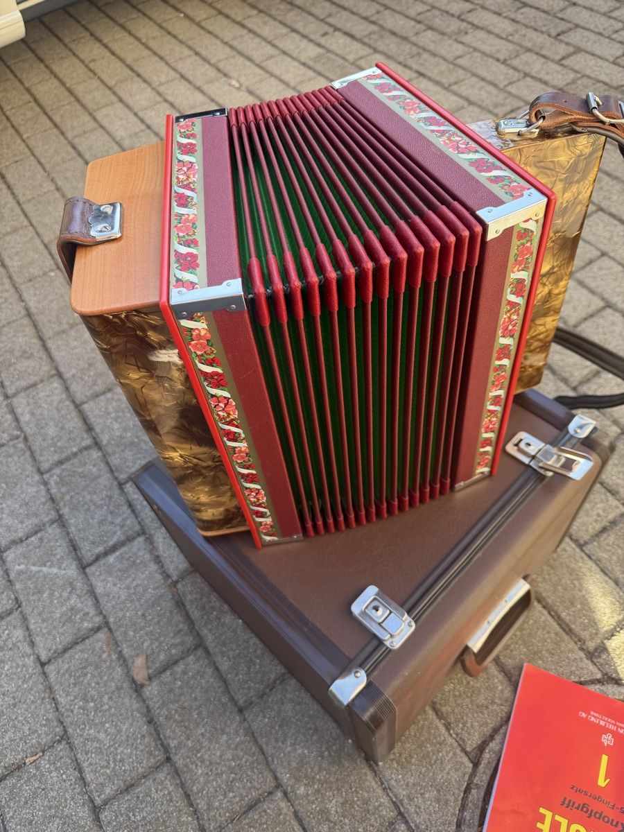 Instruments de musique: Schwizerogeli Stalder  – D'occasion à Muhen par MiGeiss64 5