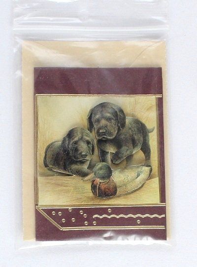 Cartoline: Minikarte Hund – Nuovo (secondo la descrizione) da Schlatt TG venduto da glueckwunschkarte.22 3