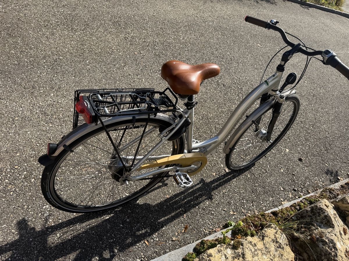 Wheeler Biciclette: Velo Wheeler – Usato da Trimbach venduto da ale5522 2