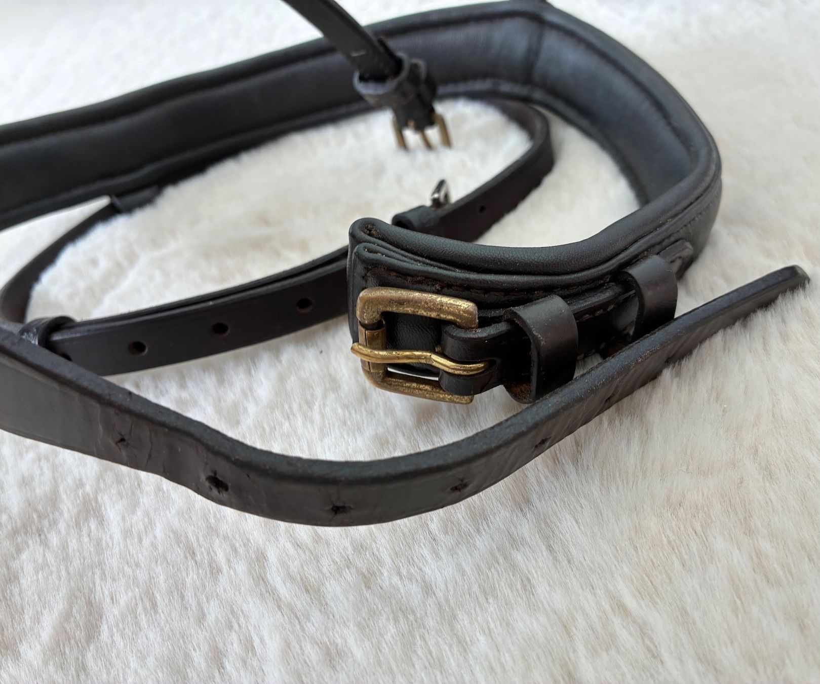 Felix Bühler Briglie & Cavezze: CLARIDGE HOUSE Nasenband braun – Usato da Galgenen venduto da user987 1