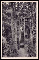 Zürich - Uetliberg  LETERLI beim Uto-Kulm