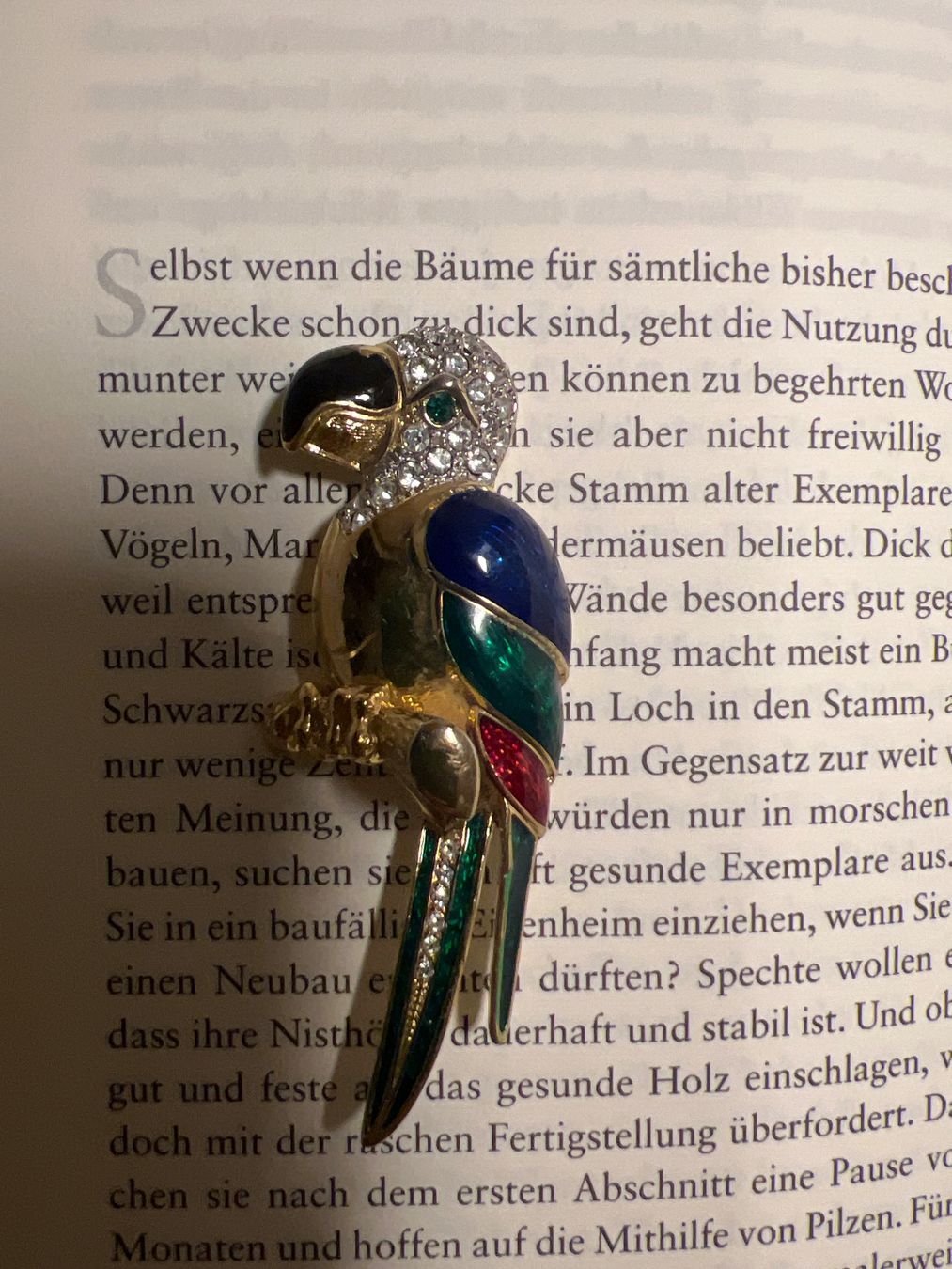 Spille & Fermagli: Vintage Papagei Brosche mit Strass – Usato da Uznach venduto da Ya_x7x6 4