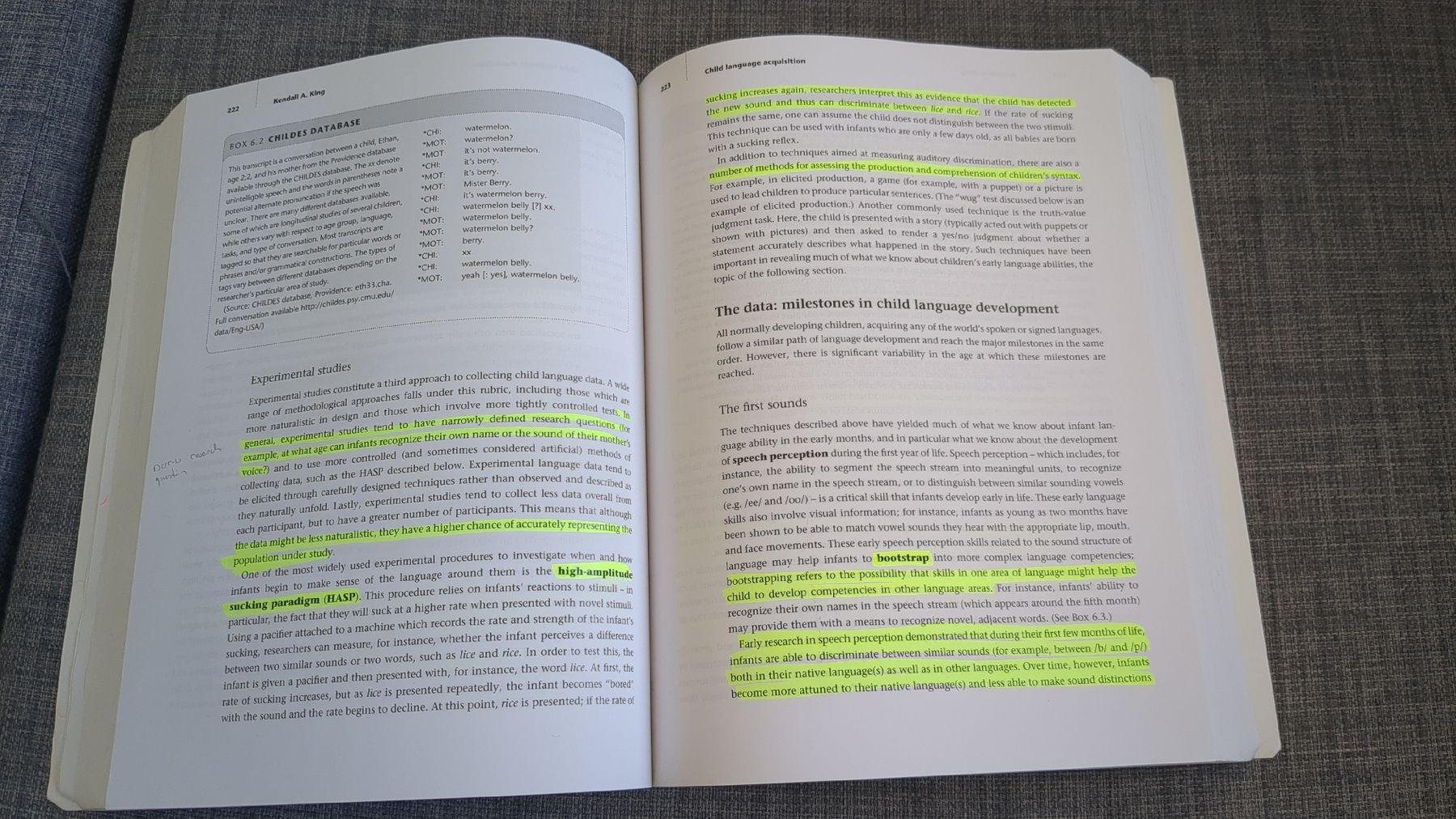 Libri: An Introduction to Language and Linguistics – Usato da Zürich venduto da versolalto 2